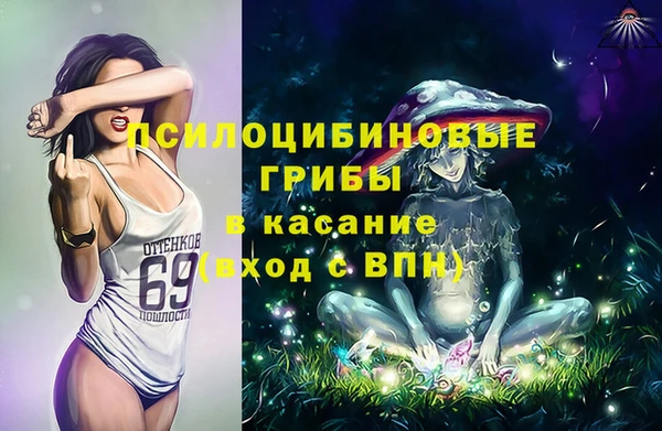стафф Пролетарск