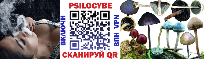Псилоцибиновые грибы мицелий Юхнов
